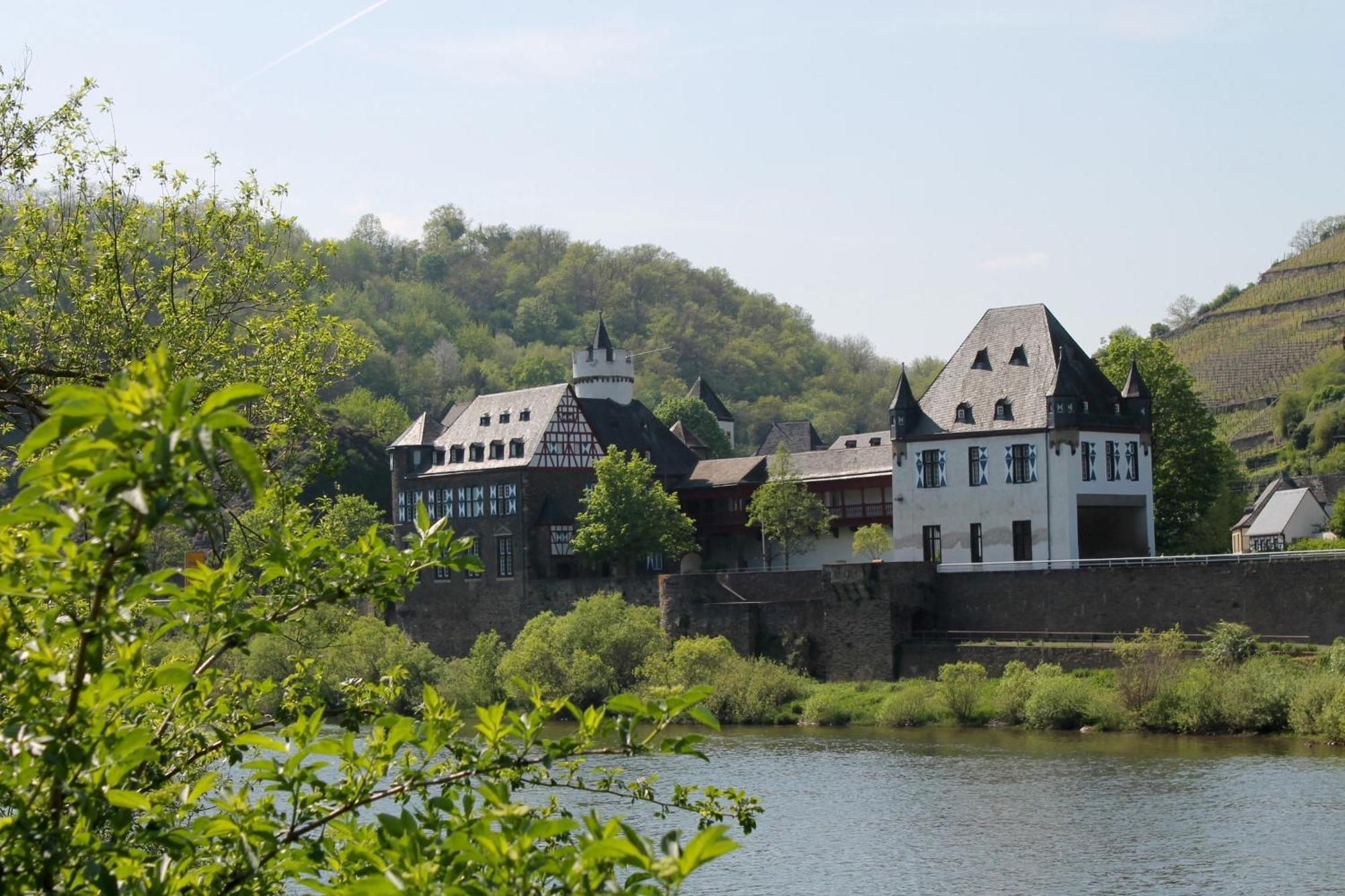 Ferienwohnung Auf Der Moselhoehe - Naehe Koblenz Und Cochem Dieblich Exterior foto
