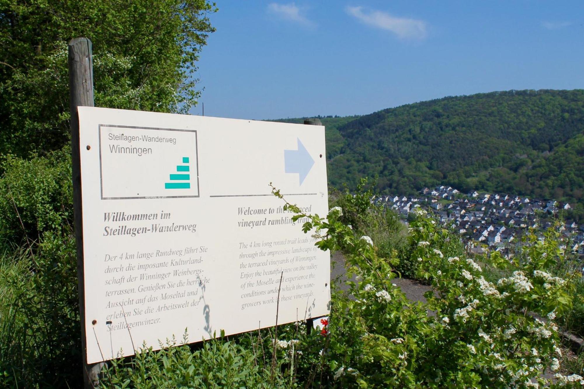 Ferienwohnung Auf Der Moselhoehe - Naehe Koblenz Und Cochem Dieblich Exterior foto