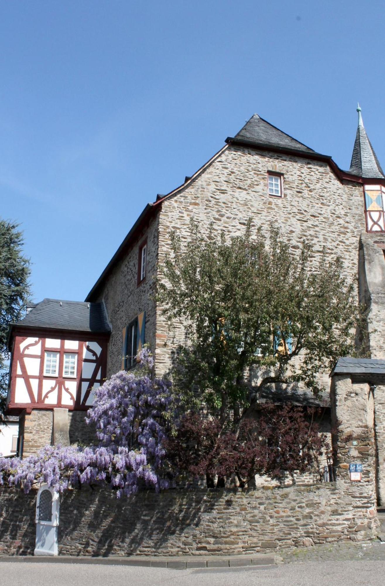 Ferienwohnung Auf Der Moselhoehe - Naehe Koblenz Und Cochem Dieblich Exterior foto