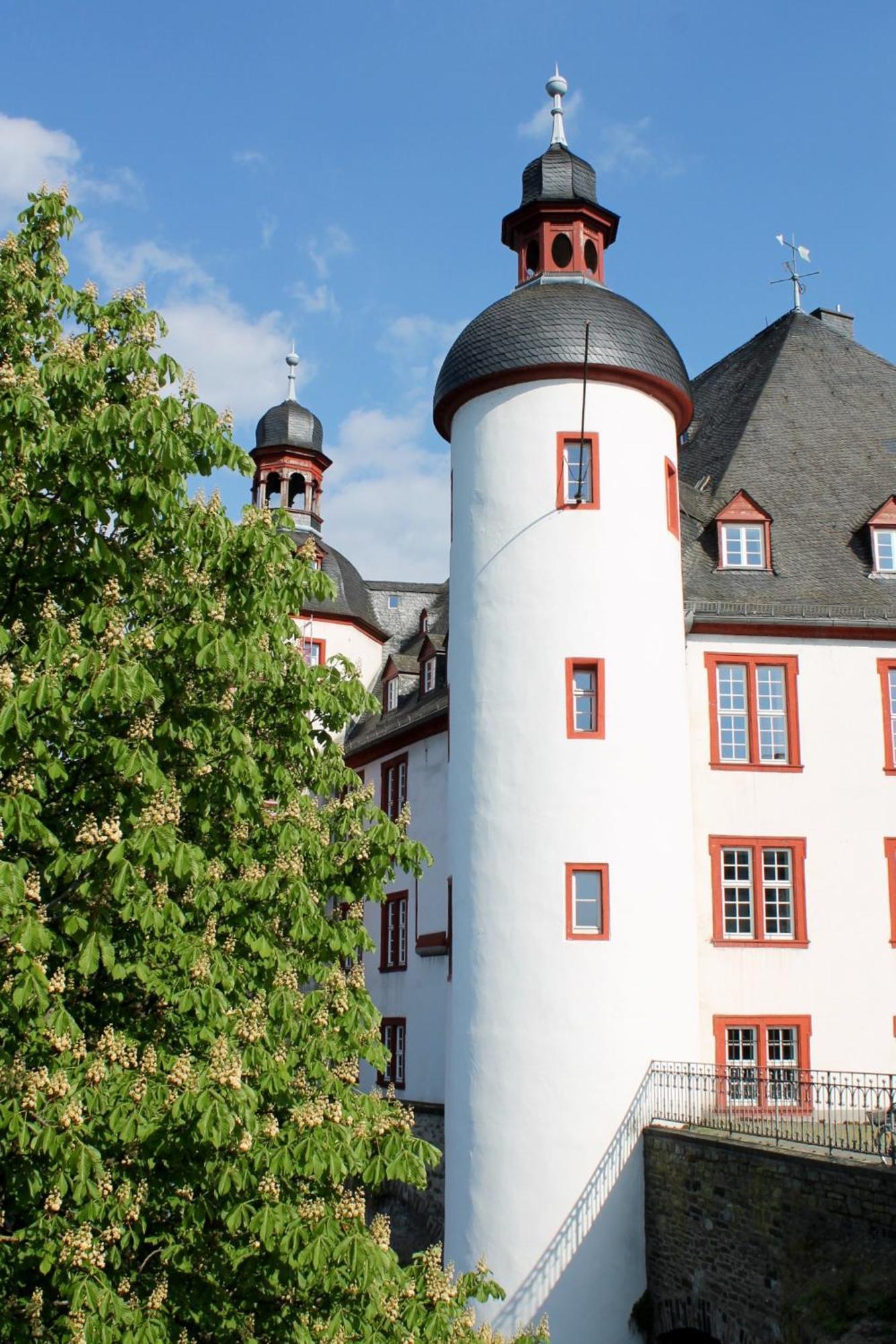 Ferienwohnung Auf Der Moselhoehe - Naehe Koblenz Und Cochem Dieblich Exterior foto