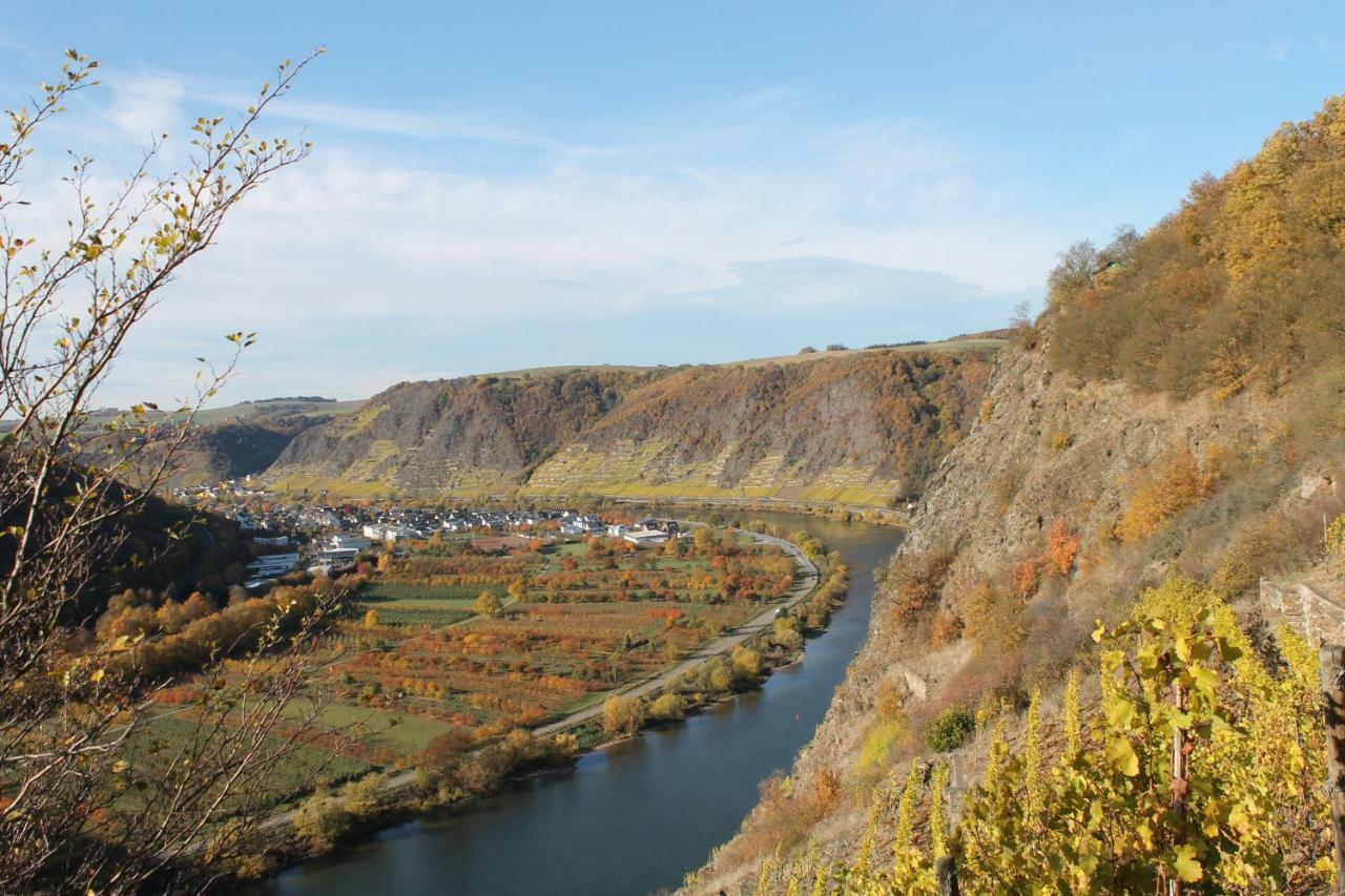 Ferienwohnung Auf Der Moselhoehe - Naehe Koblenz Und Cochem Dieblich Exterior foto